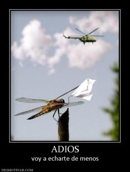 ADIOS voy a echarte de menos