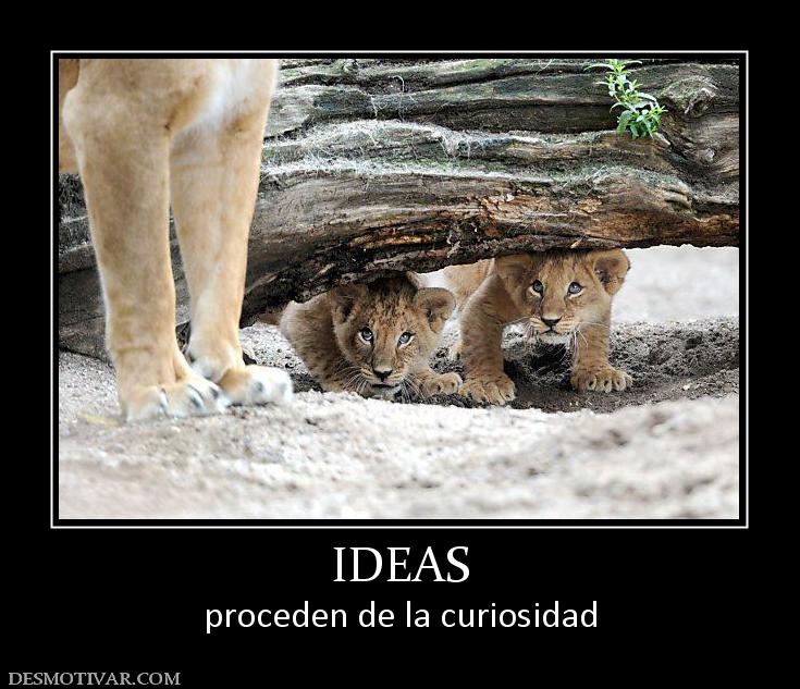 IDEAS proceden de la curiosidad