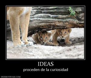 IDEAS proceden de la curiosidad