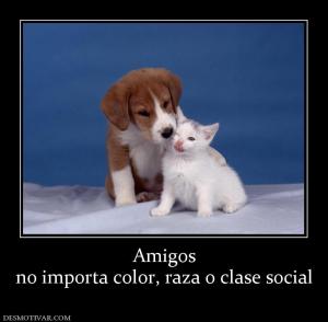 Amigos no importa color, raza o clase social