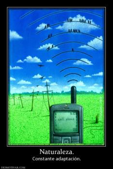 Naturaleza. Constante adaptación.