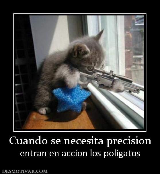 Cuando se necesita precision entran en accion los poligatos