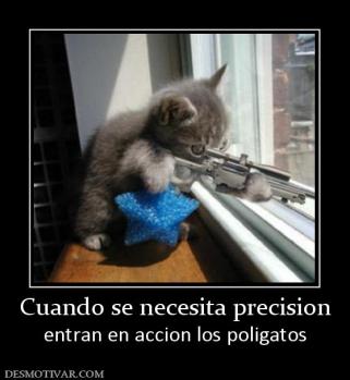 Cuando se necesita precision entran en accion los poligatos