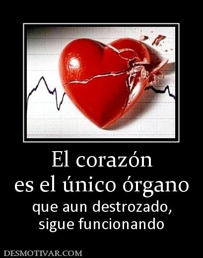 El corazón es el único órgano que aun destrozado, sigue funcionando