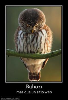 Buho21 mas que un sitio web