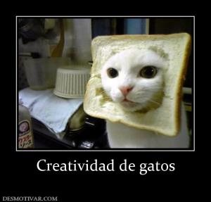 Creatividad de gatos