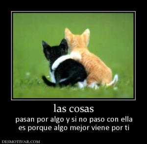 las cosas pasan por algo y si no paso con ella es porque algo mejor viene por ti