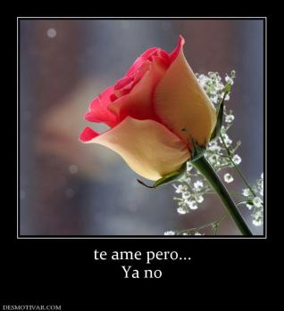 te ame pero... Ya no