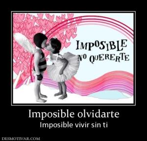 Imposible olvidarte Imposible vivir sin ti