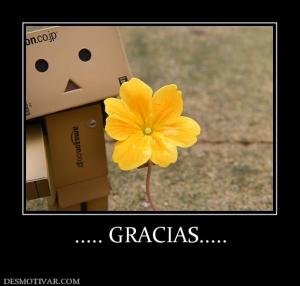 ..... GRACIAS.....