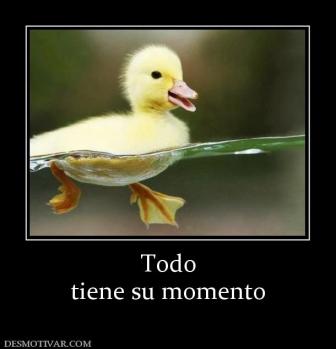 Todo tiene su momento