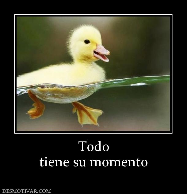 Todo tiene su momento