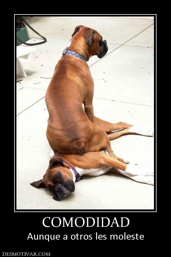 COMODIDAD Aunque a otros les moleste
