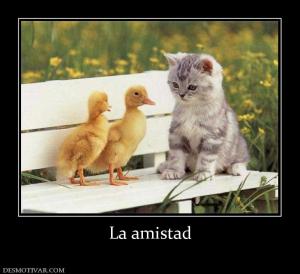 La amistad