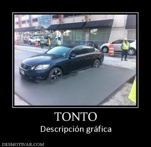 TONTO Descripción gráfica