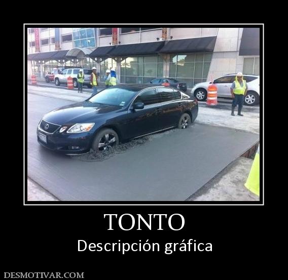 TONTO Descripción gráfica