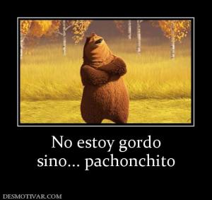 No estoy gordo sino... pachonchito