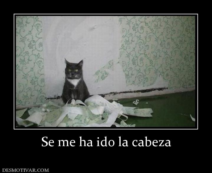 Se me ha ido la cabeza