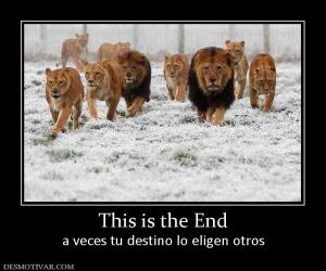 This is the End a veces tu destino lo eligen otros