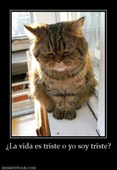¿La vida es triste o yo soy triste?