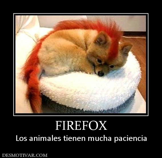 FIREFOX Los animales tienen mucha paciencia