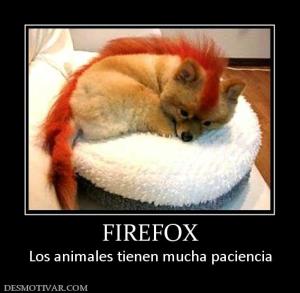 FIREFOX Los animales tienen mucha paciencia