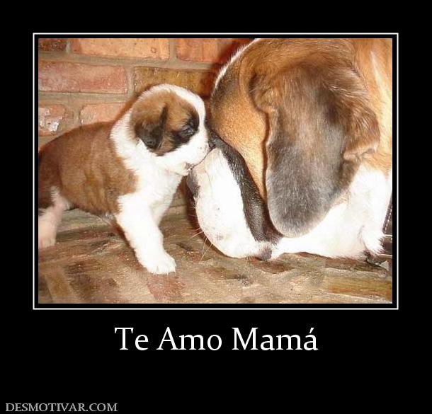 Te Amo Mamá