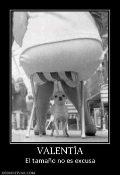 VALENTÍA El tamaño no es excusa
