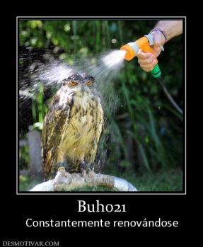 Buho21 Constantemente renovándose