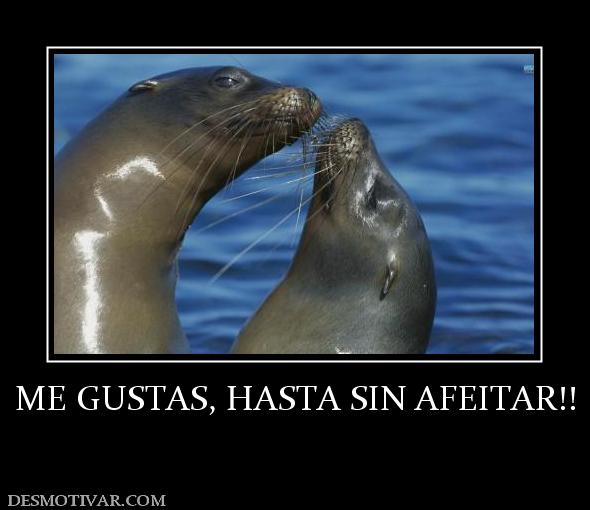 ME GUSTAS, HASTA SIN AFEITAR!!