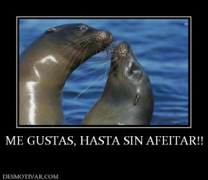 ME GUSTAS, HASTA SIN AFEITAR!!