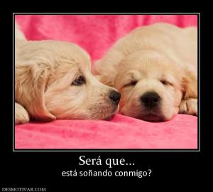 Será que... está soñando conmigo?