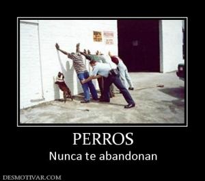 PERROS Nunca te abandonan