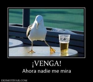 ¡VENGA! Ahora nadie me mira