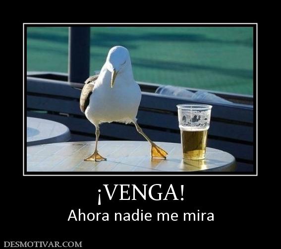 ¡VENGA! Ahora nadie me mira