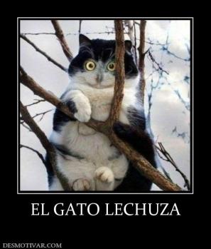EL GATO LECHUZA