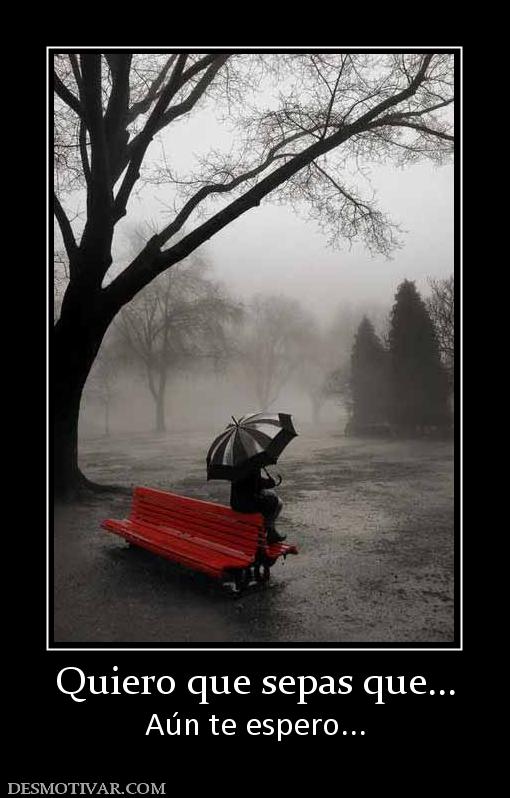Quiero que sepas que... Aún te espero...