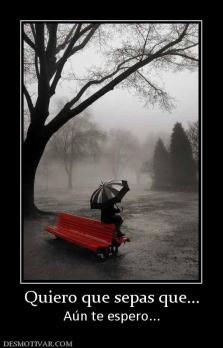 Quiero que sepas que... Aún te espero...