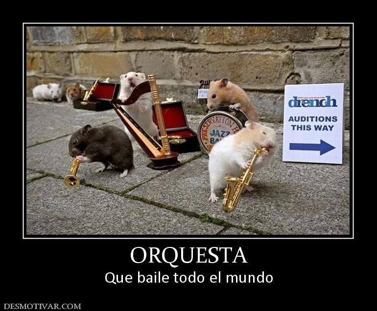 ORQUESTA Que baile todo el mundo