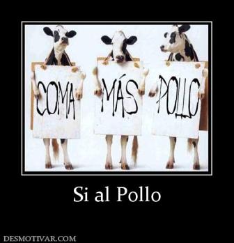 Si al Pollo