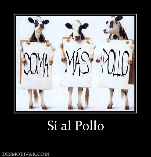 Si al Pollo