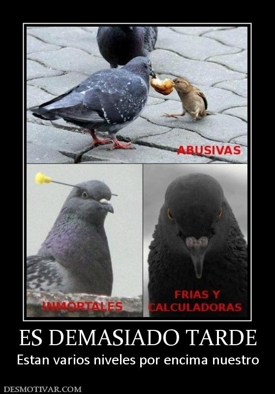 ES DEMASIADO TARDE Estan varios niveles por encima nuestro
