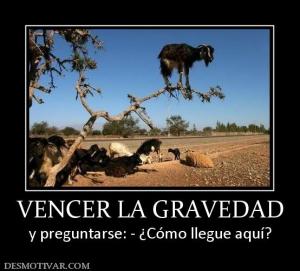 VENCER LA GRAVEDAD y preguntarse: - ¿Cómo llegue aquí?