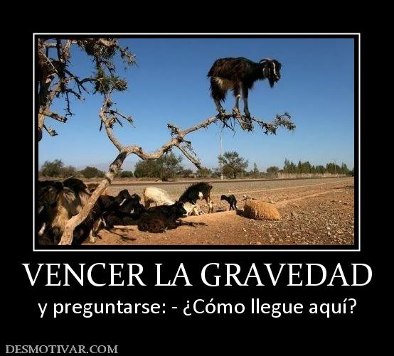 VENCER LA GRAVEDAD y preguntarse: - ¿Cómo llegue aquí?