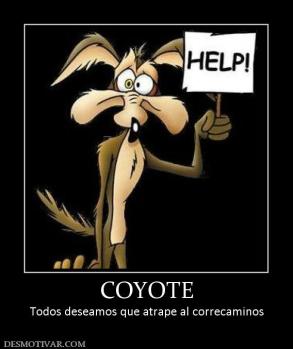 COYOTE Todos deseamos que atrape al correcaminos