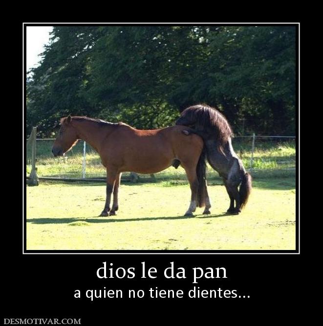 dios le da pan a quien no tiene dientes...
