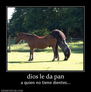 dios le da pan a quien no tiene dientes...