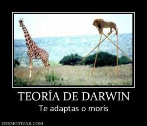TEORÍA DE DARWIN Te adaptas o morís