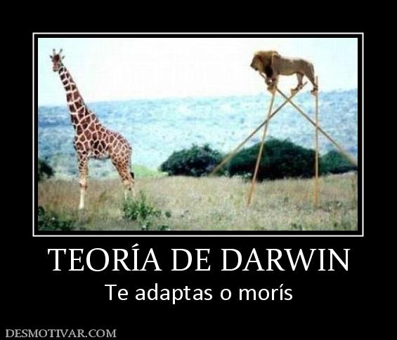 TEORÍA DE DARWIN Te adaptas o morís