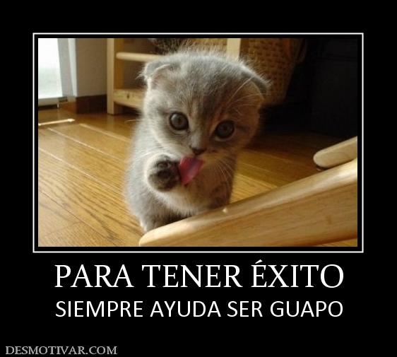 PARA TENER ÉXITO SIEMPRE AYUDA SER GUAPO